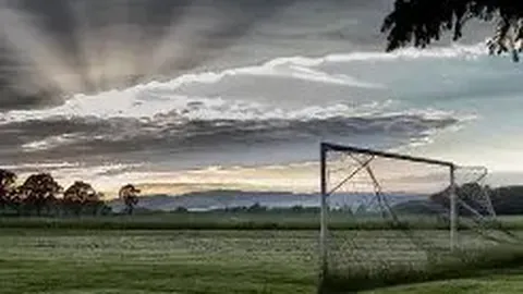 Baby状告网络侵权案一审获胜，获赔偿6万